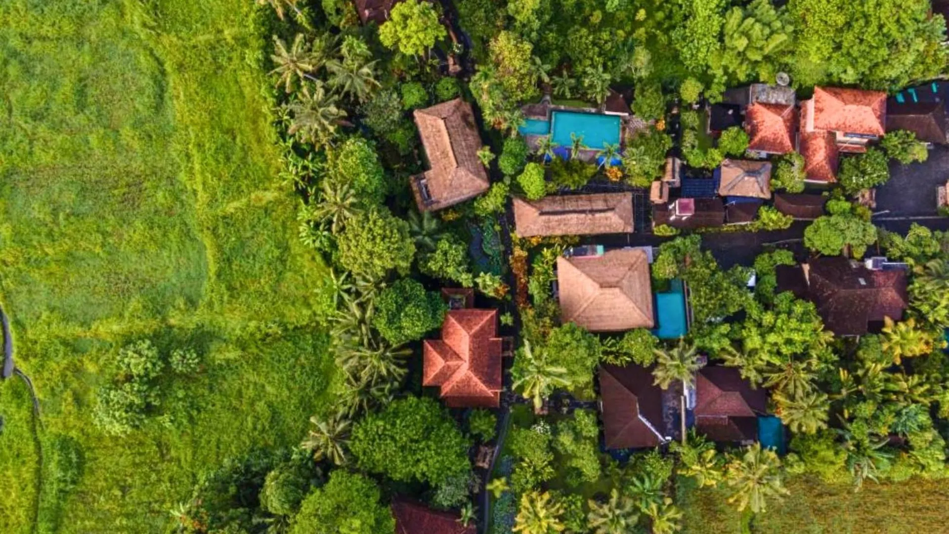 Dakini 1 Bedroom Grand Deluxe Room Zn232 Ubud  Apartment Ubud (Bali)